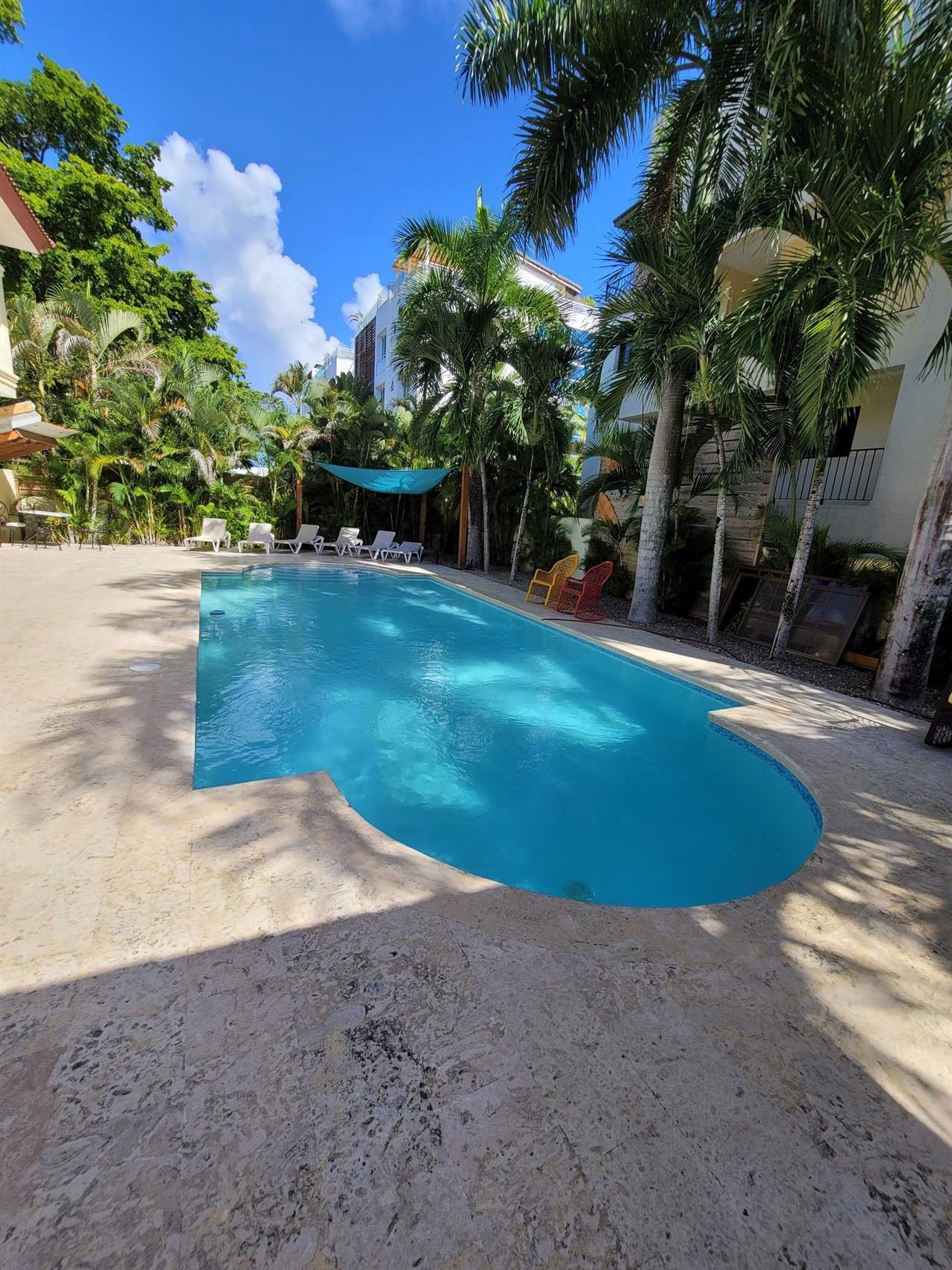 B&B Pavillion: pool with loungers, palm trees and a clear blue sky